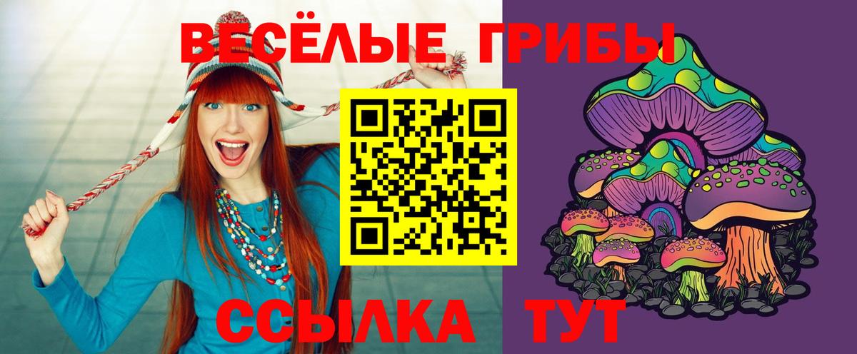 Псилоцибиновые грибы Psilocybe  закладки  Сыктывкар  Вход с VPN 